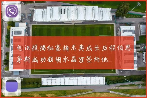电讯报揭秘塞梅尼奥成长历程伯恩茅斯成功截胡水晶宫签约他